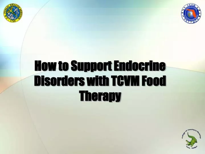 how to support endocrine disorders with tcvm food therapy