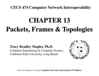 CHAPTE R 13 Packets, Frames &amp; Topologies
