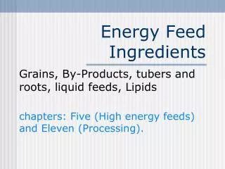 Energy Feed Ingredients