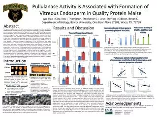 Pullulanase Activity is Associated with Formation of Vitreous Endosperm in Quality Protein Maize