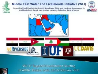 WLI 1 st Regional Coordination Meeting (ICARDA, Aleppo, Syria, 13-15 February, 2011