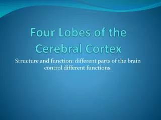Four Lobes of the Cerebral Cortex