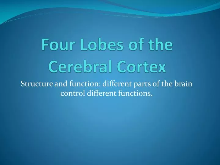 four lobes of the cerebral cortex