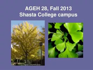 AGEH 28, Fall 2013 Shasta College campus