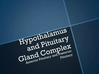 Hypothalamus and Pituitary Gland Complex