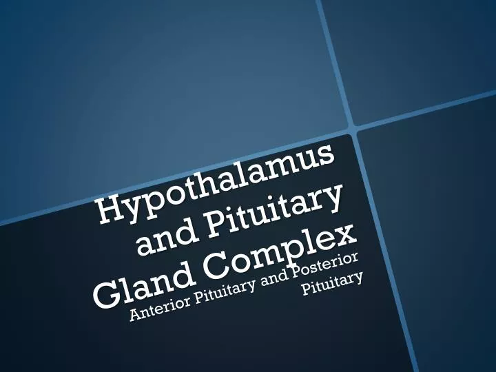 hypothalamus and pituitary gland complex