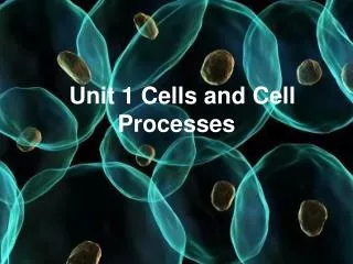 Unit 1 Cells and Cell Processes