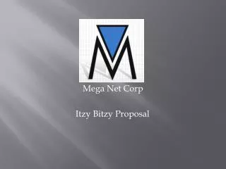 Mega Net Corp
