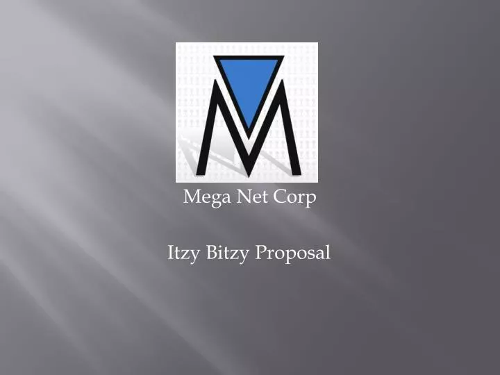 mega net corp