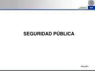 seguridad p blica