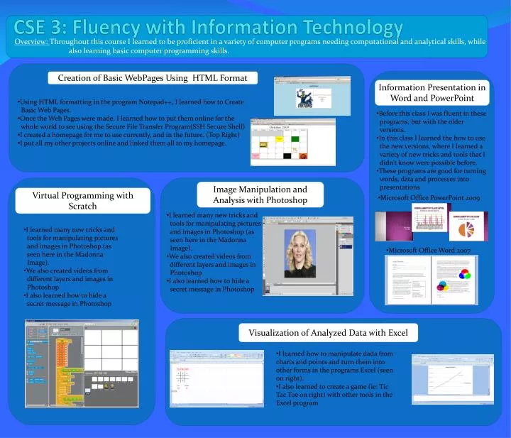 cse 3 fluency with information technology