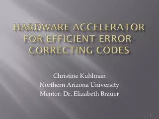 Hardware accelerator for Efficient error-correcting codes