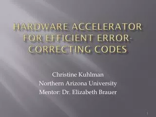 hardware accelerator for efficient error correcting codes