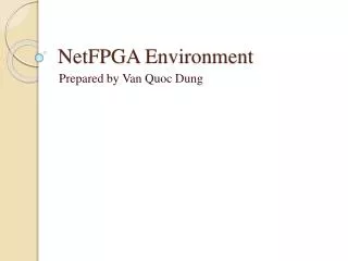 NetFPGA Environment