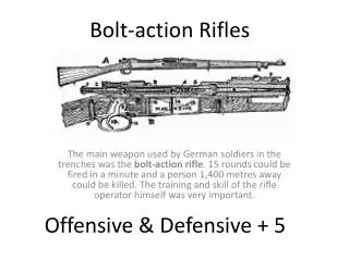 Bolt-action Rifles