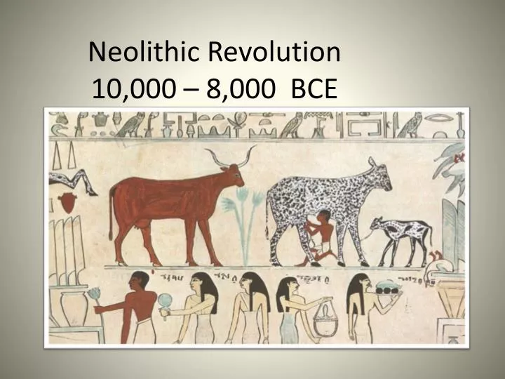 neolithic revolution 10 000 8 000 bce