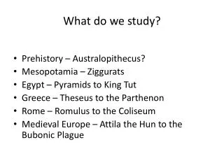 What do we study?