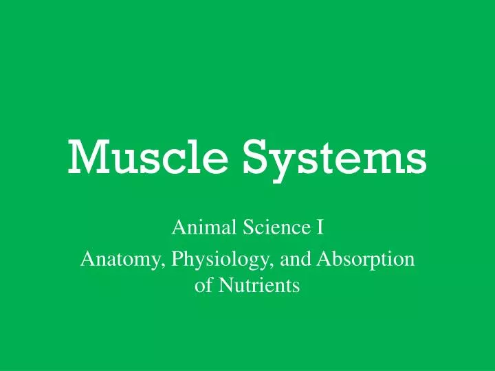 muscle systems