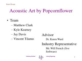 Acoustic Art by Popcornflower