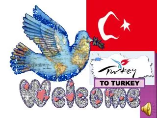 TO TURKEY