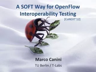 A SOFT Way for OpenFlow Interoperability Testing