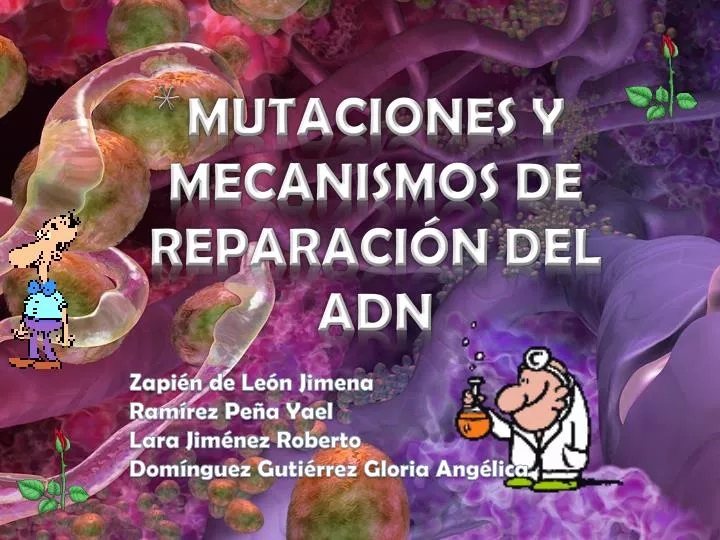 mutaciones y mecanismos de reparaci n del adn