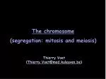The chromosome (segregation: mitosis and meiosis) - slide 1