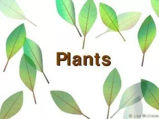 PLANTS