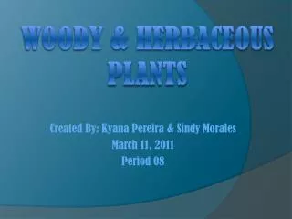 Woody &amp; Herbaceous Plants