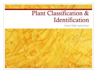 Plant Classification &amp; Identification