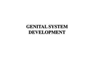 GENITAL SYSTEM DEVELOPMENT