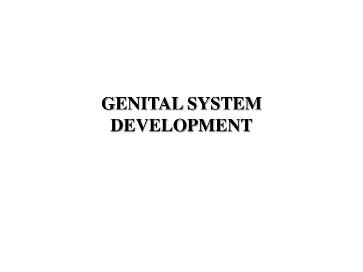 genital system development