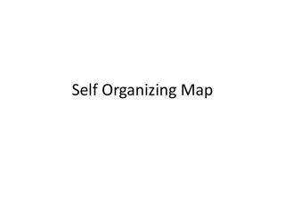 self organizing map