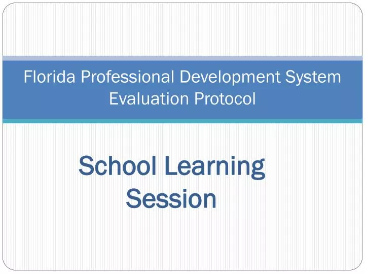 florida professional development system evaluation protocol