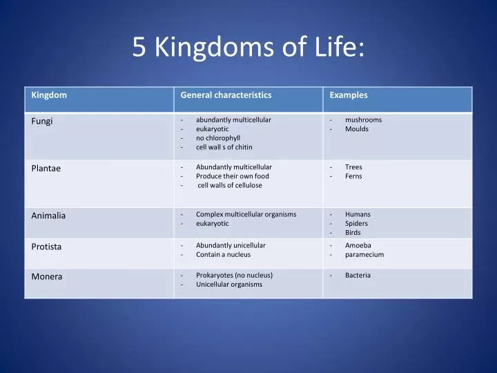 5 kingdoms of life