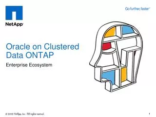 Oracle on Clustered Data ONTAP