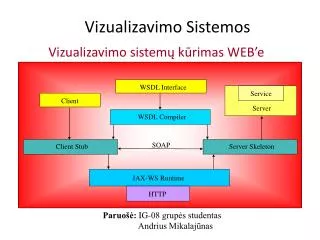 vizualizavimo sistemos