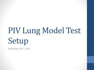 PIV Lung Model Test Setup