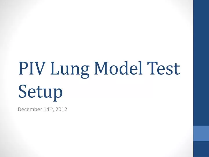piv lung model test setup