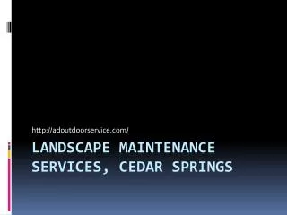 Lawn, Tree & Snow Maintenance - Cedar Spings, MI