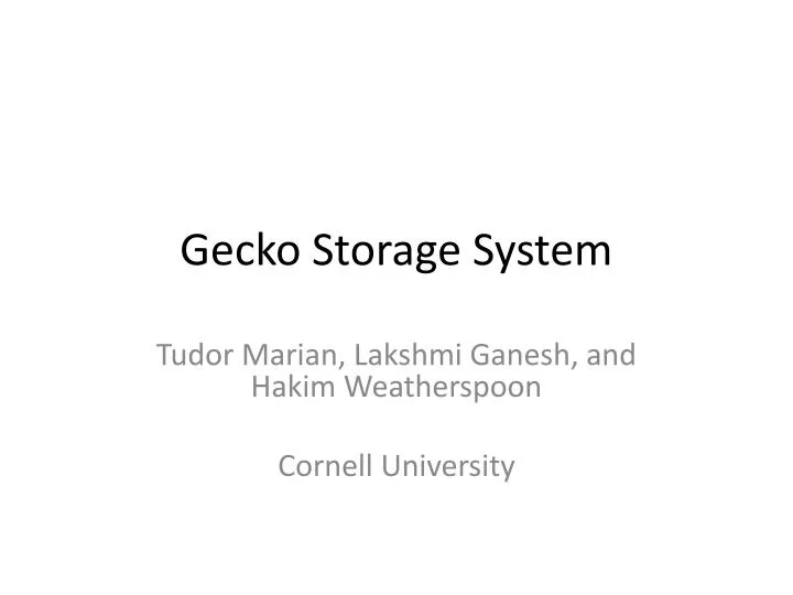 gecko storage system