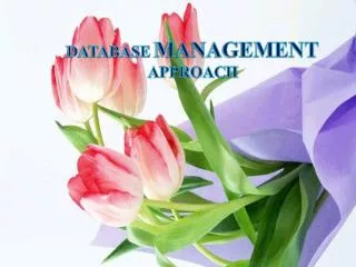 DATABASE MANAGEMENT APPROACH