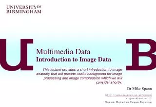 Multimedia Data Introduction to Image Data