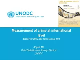 Measurement of crime at international level Side Event UNSC New York February 2012