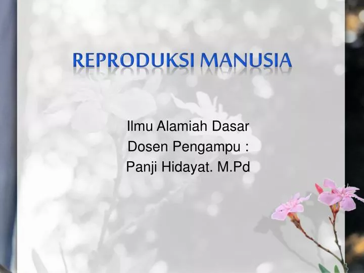 reproduksi manusia