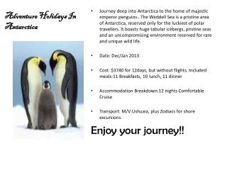 Adventure Holidays In Antarctica