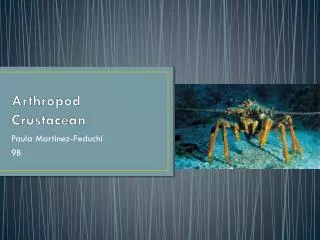 Arthropod Crustacean