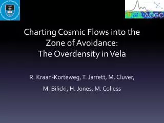 Charting Cosmic Flows into the Zone of Avoidance: The Overdensity in Vela