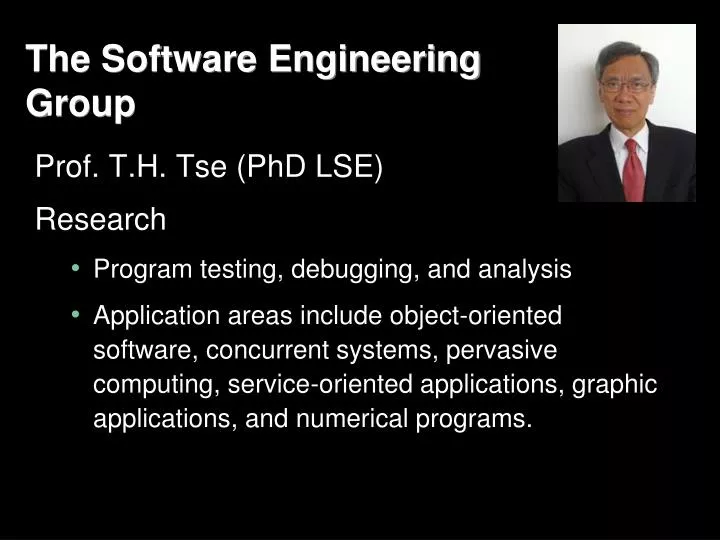 the software engineering group