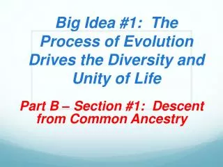 Big Idea #1: The Process of Evolution Drives the Diversity and Unity of Life